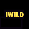 iWild Casino