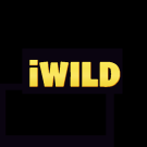 iWild Casino