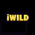 iWild Casino
